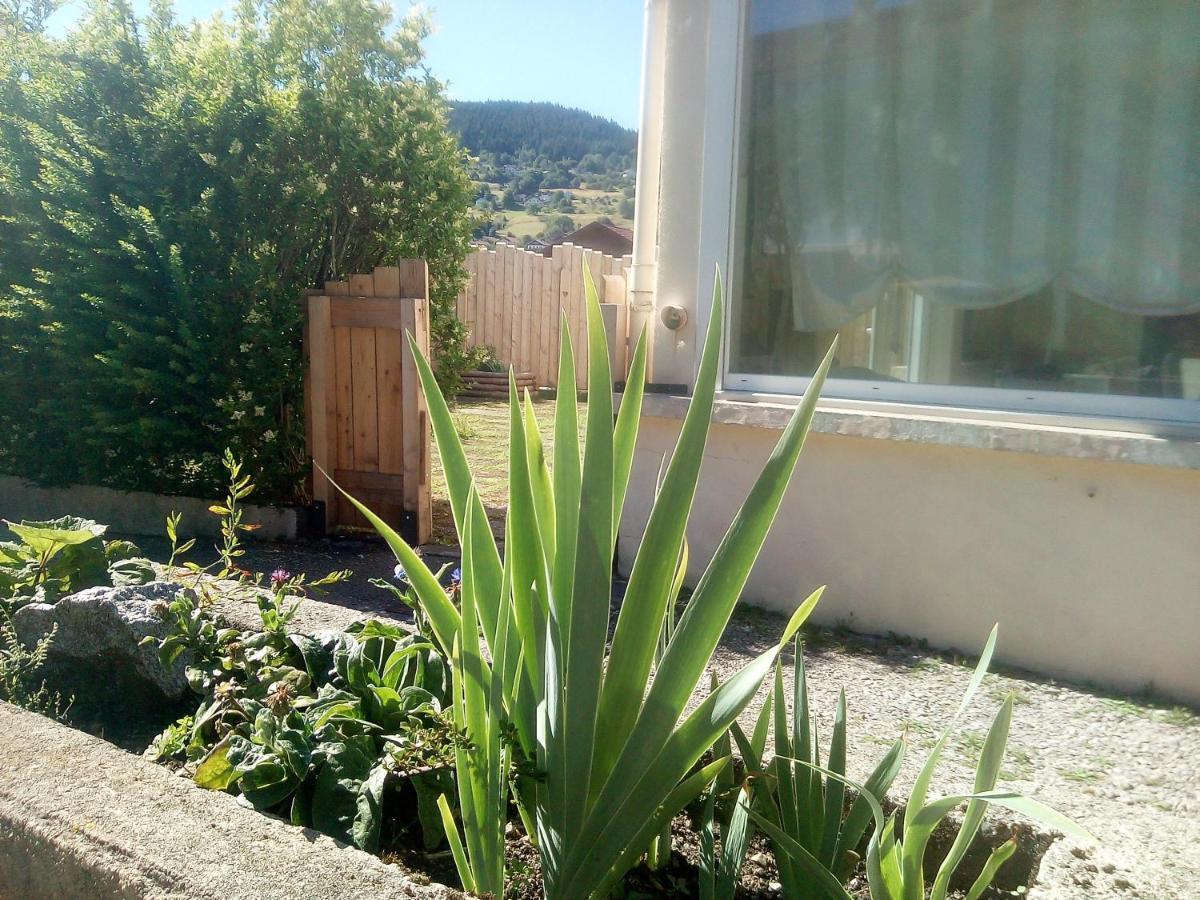 Gite De L'Allee Du Toit Vosgien Avec Terrasse Et Vue Sur La Montagne Gerardmer Exterior photo